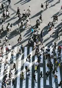 population population